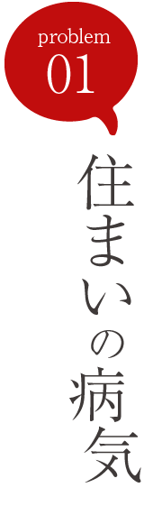 problem01：住まいの病気