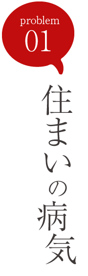 problem01：住まいの病気